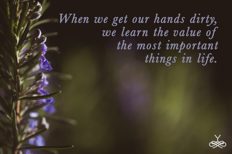 Young Reflections Photography