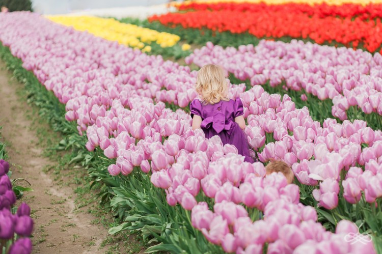 Young Reflections Photography